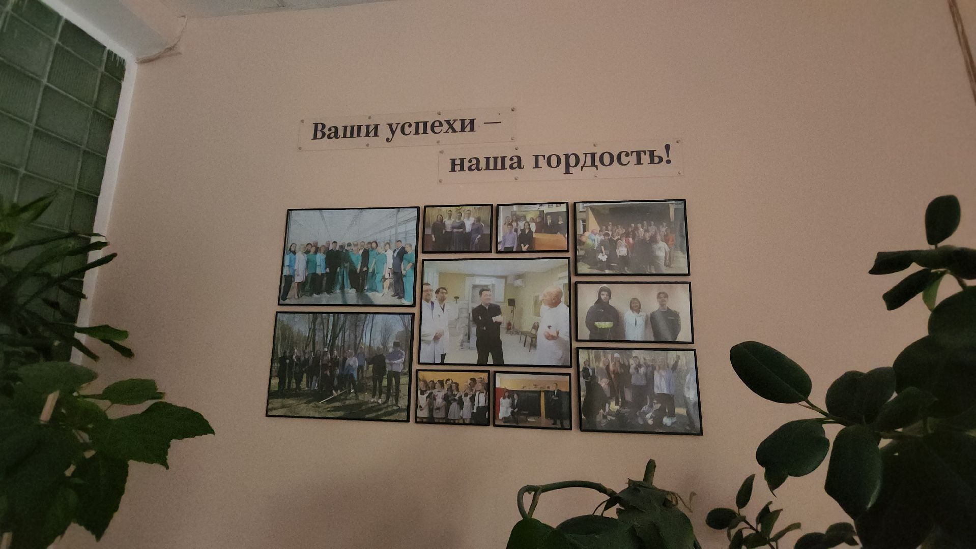 воскресенск, образование, школьники, олимпиада,