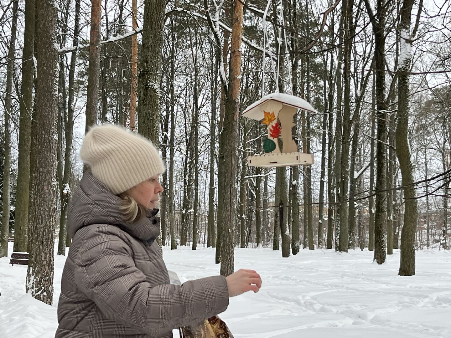 наро-фоминск, покормите птиц зимой, Юннаты, экологическая акция,наро-фоминский городской округ,