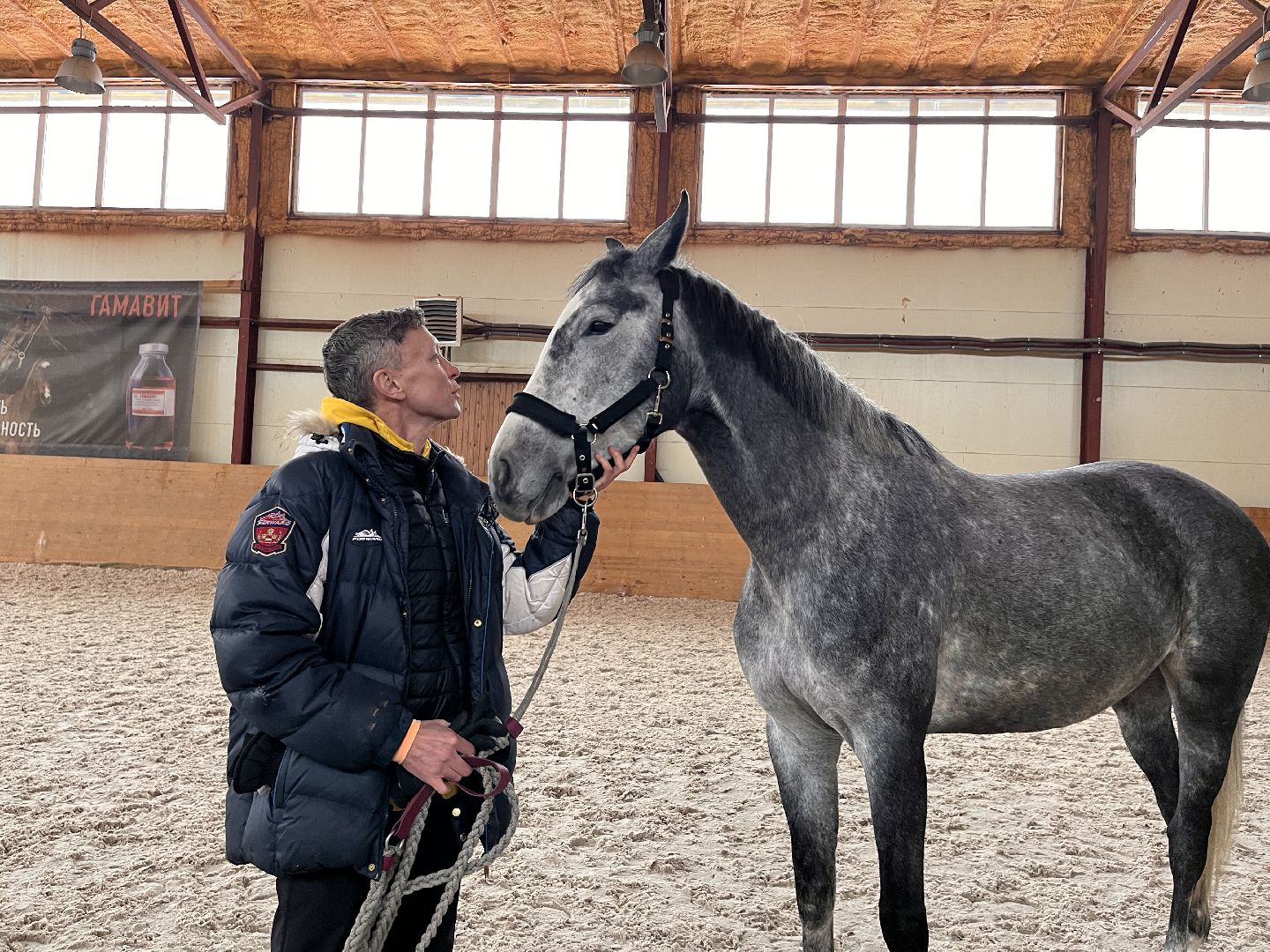 Шаховская, Центр репродукции, лошади, кони, хозяйство,