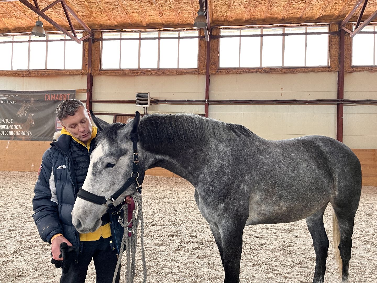 Шаховская, Центр репродукции, лошади, кони, хозяйство,