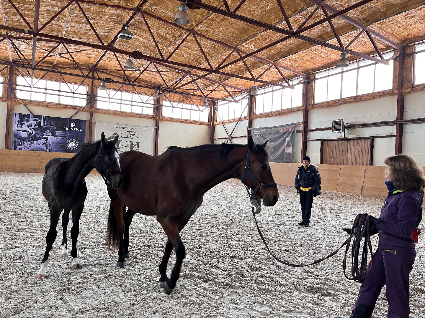 Шаховская, Центр репродукции, лошади, кони, хозяйство,