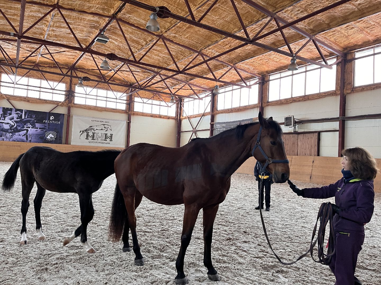 Шаховская, Центр репродукции, лошади, кони, хозяйство,