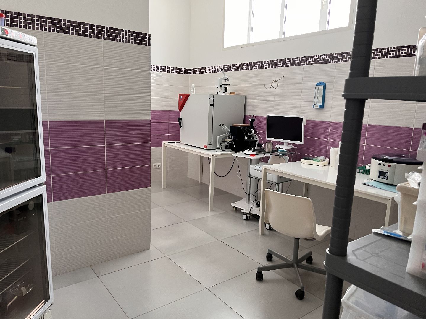 Шаховская, Центр репродукции, лошади, кони, хозяйство,