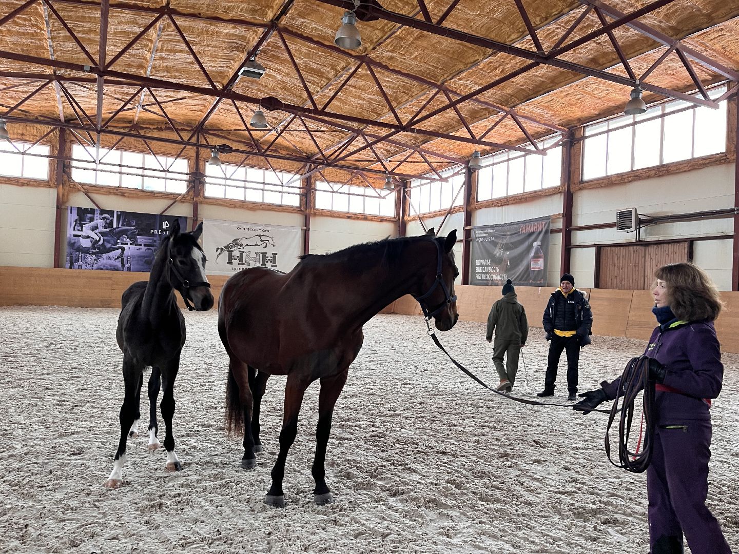 Шаховская, Центр репродукции, лошади, кони, хозяйство,