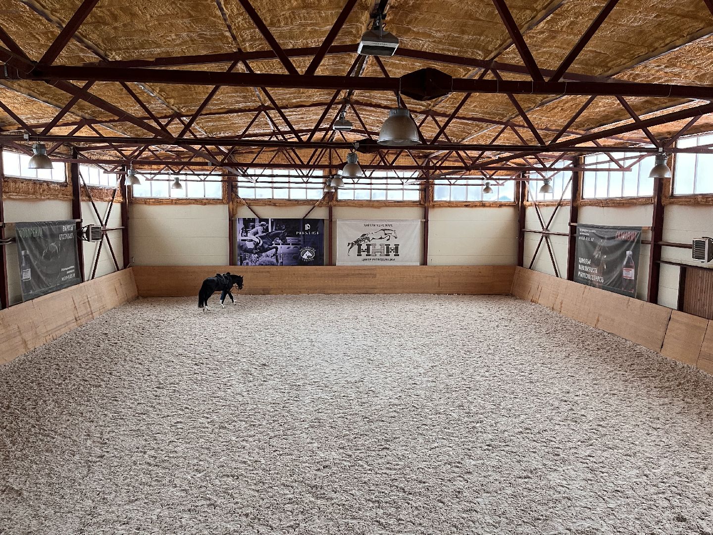 Шаховская, Центр репродукции, лошади, кони, хозяйство,