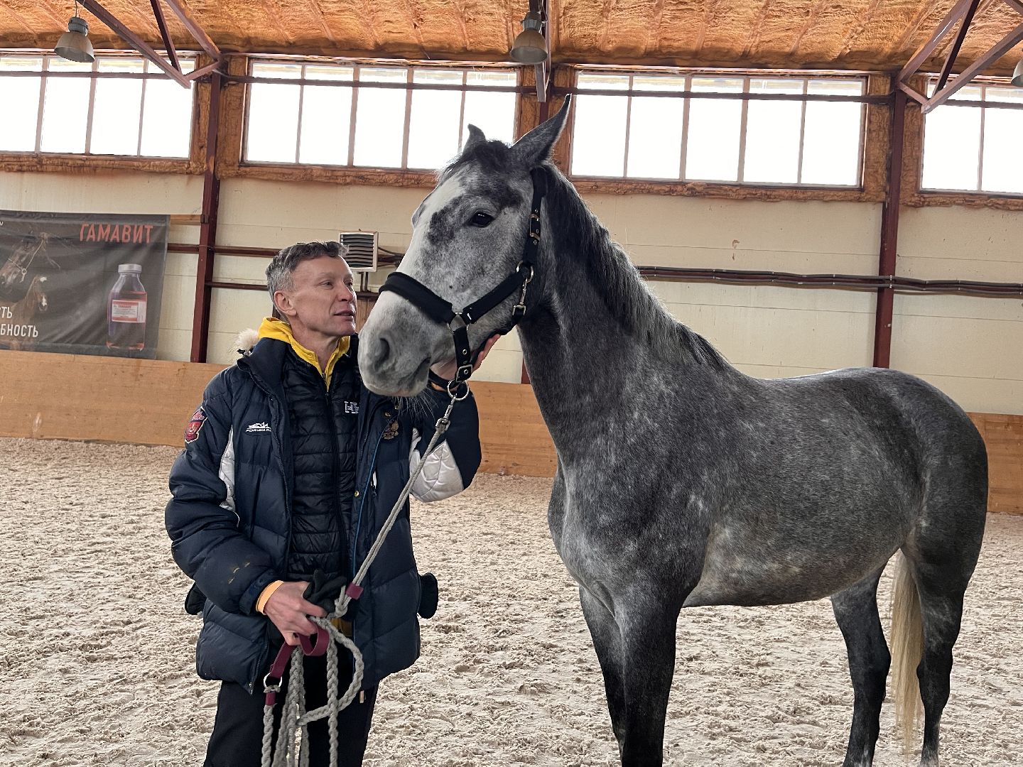 Шаховская, Центр репродукции, лошади, кони, хозяйство,