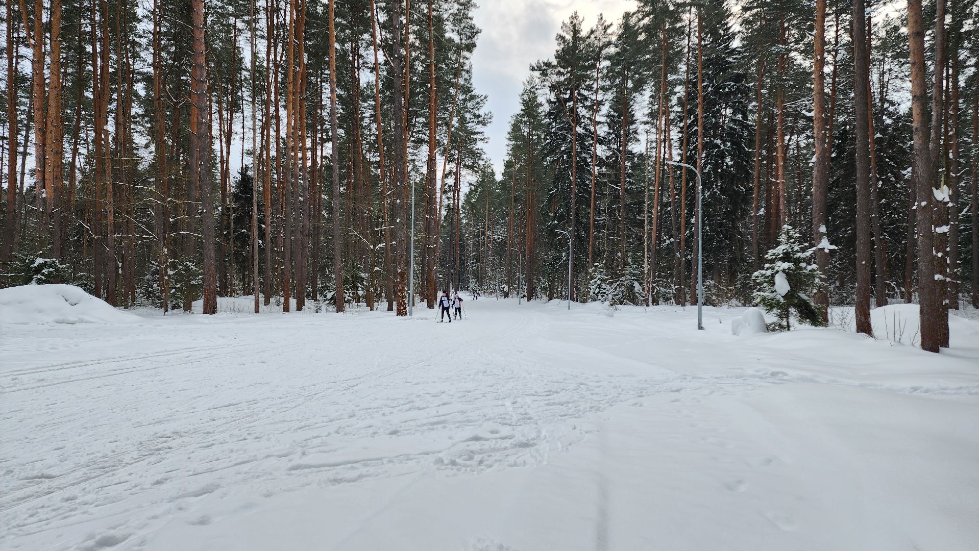 Егорьевск, Подмосковье, Московская область, ориентирование на маркированной дистанции, спорт, школа, образование,