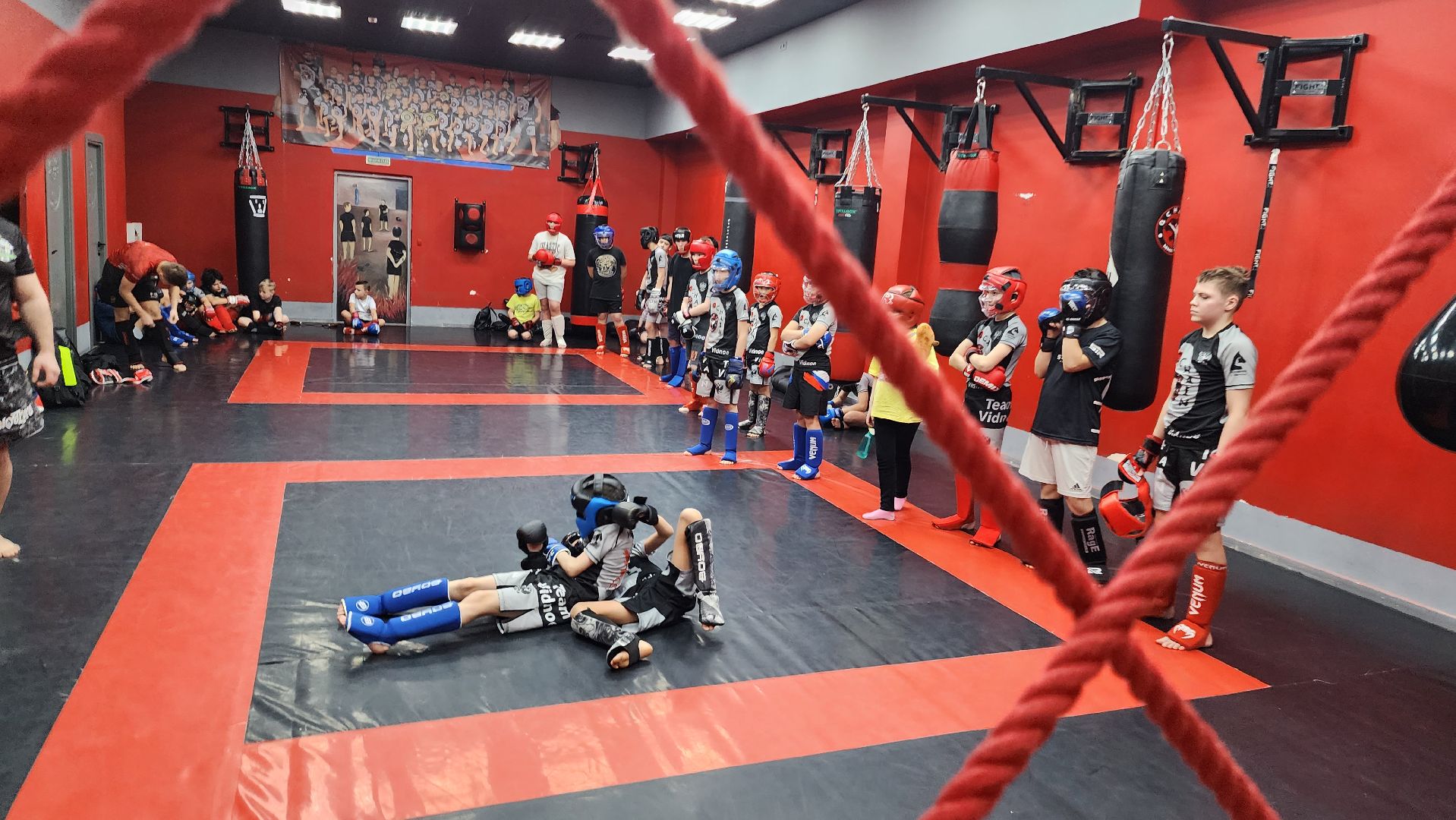 Артур Варданян, клуб единоборств, спортклуб QChain, Видное, Подмосковье, Единоборства, Федерация бокса,