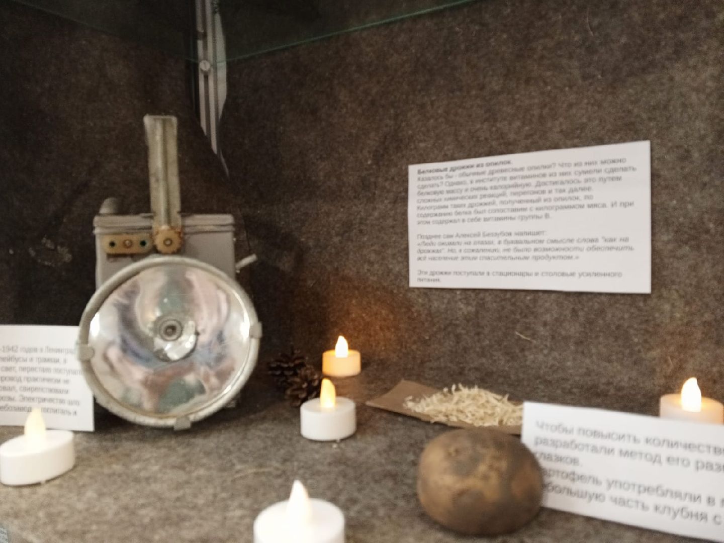 пушкино, блокада ленинграда, инсталляция, история, школьники,