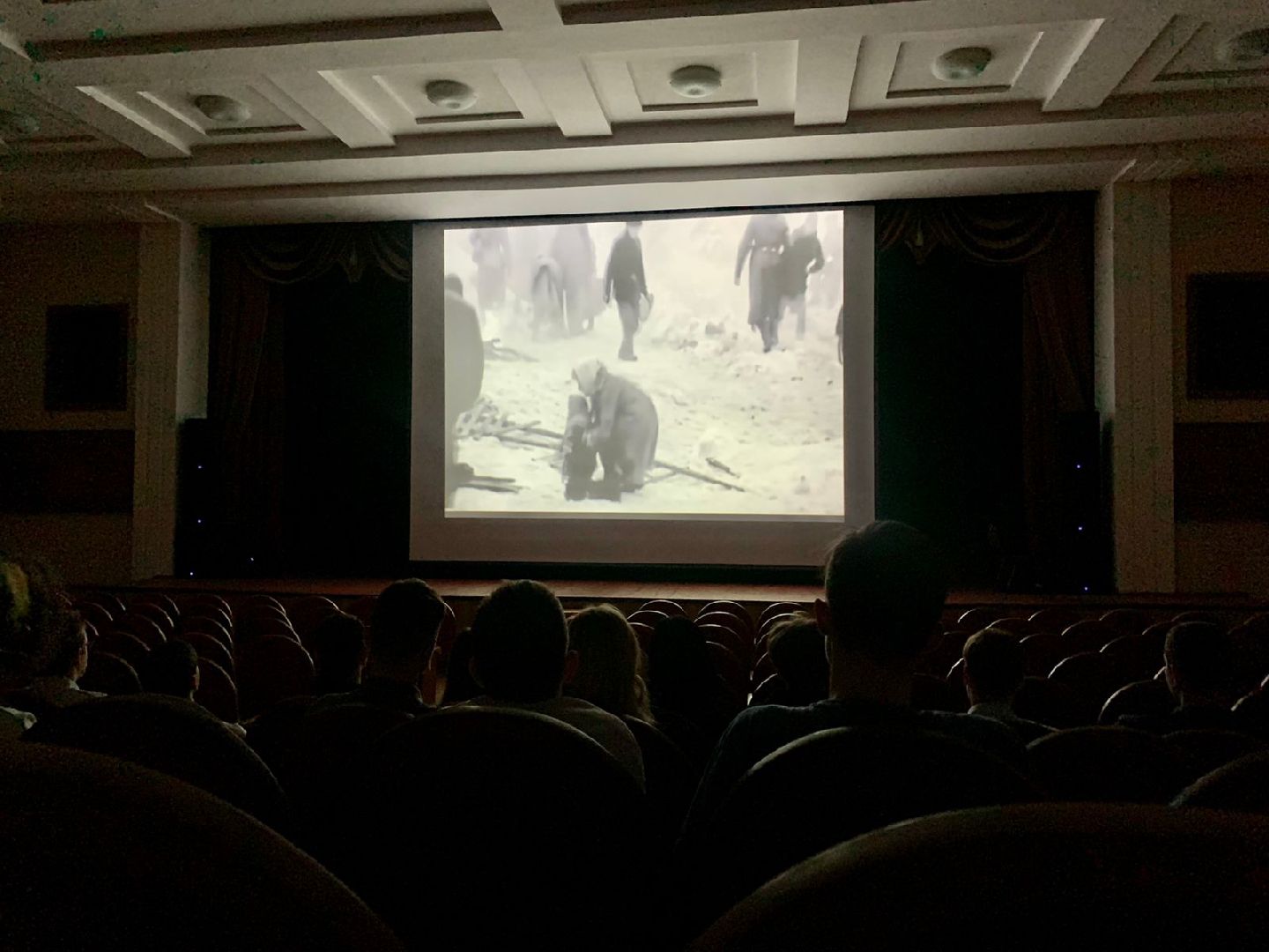 пушкино, блокада ленинграда, инсталляция, история, школьники,