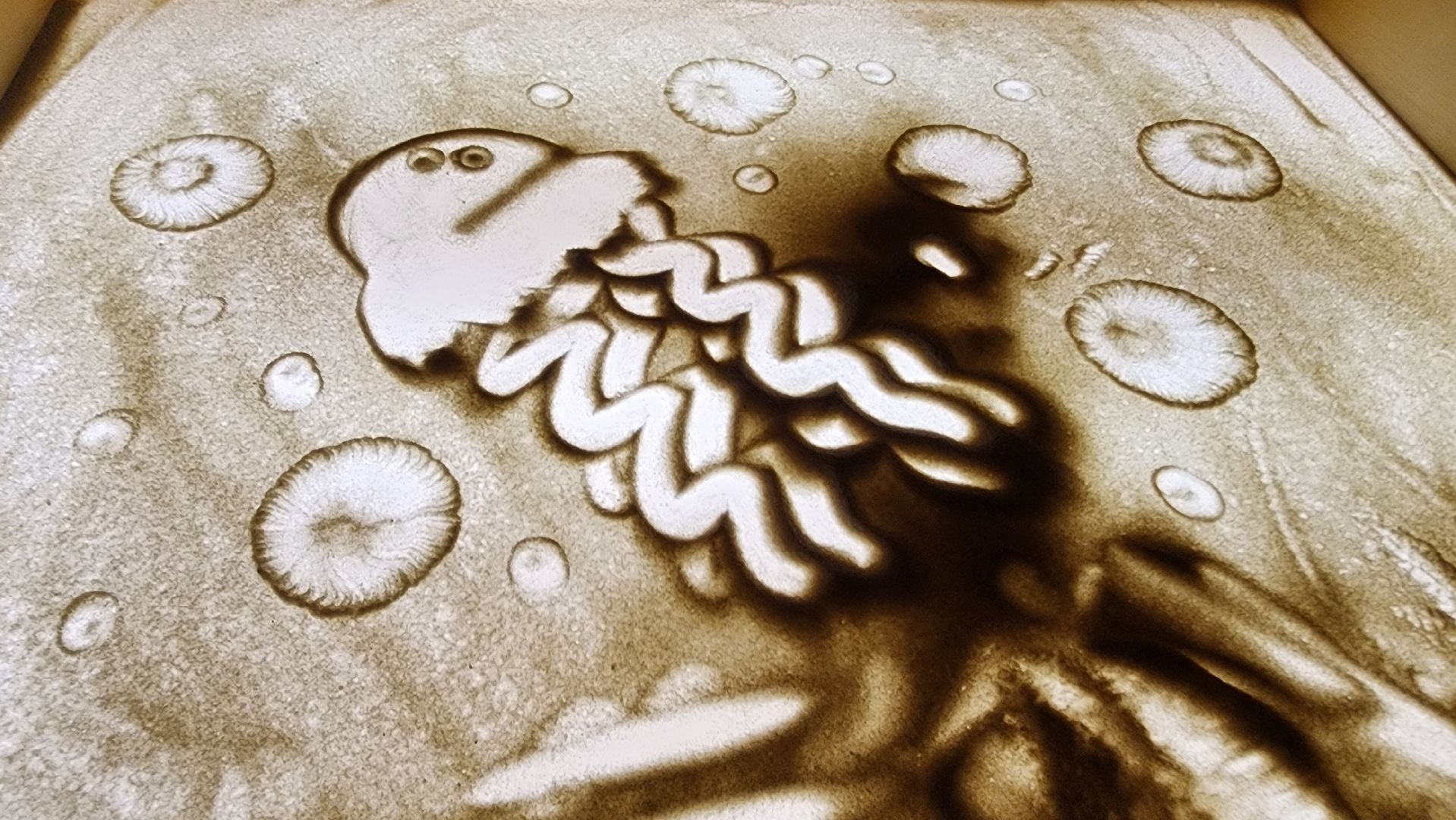 Подмосковье, Городской округ Пушкинский, ивантеевка, кцсоир пушкинский, реабилитация, Дети-инвалиды,