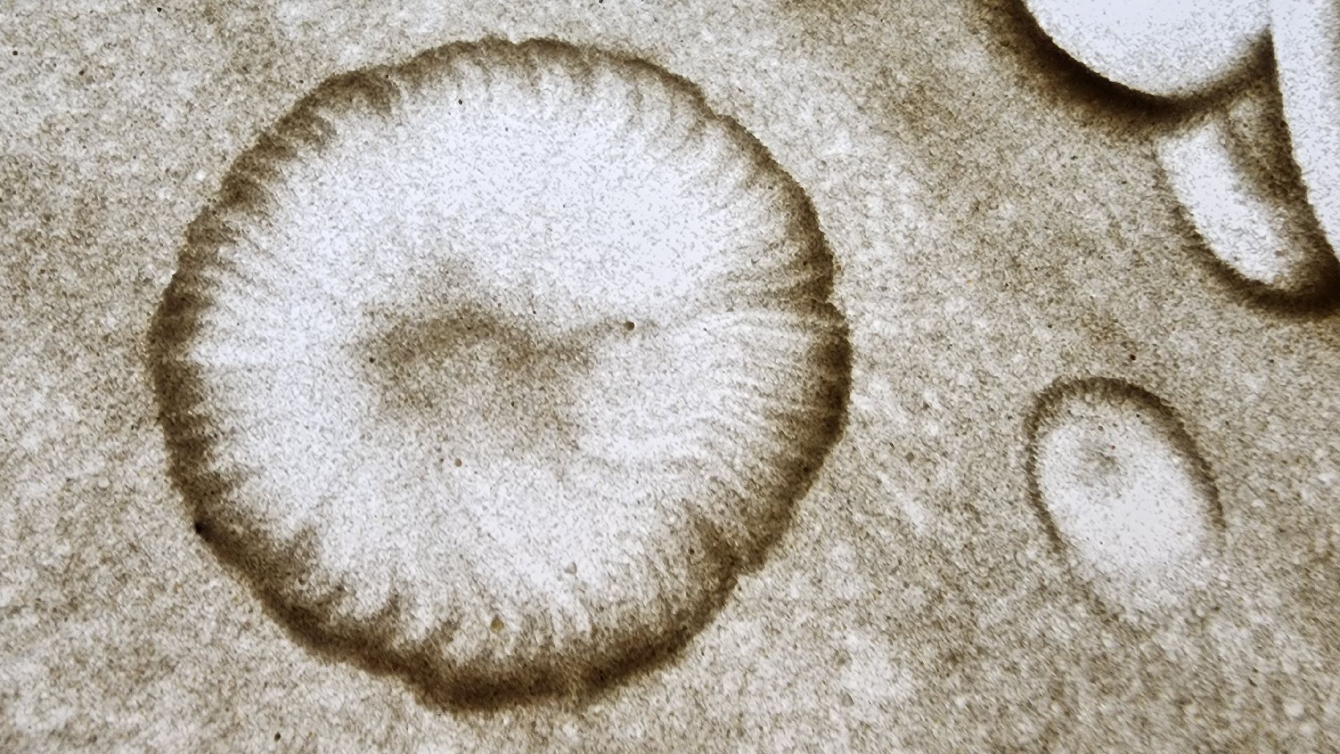 Подмосковье, Городской округ Пушкинский, ивантеевка, кцсоир пушкинский, реабилитация, Дети-инвалиды,