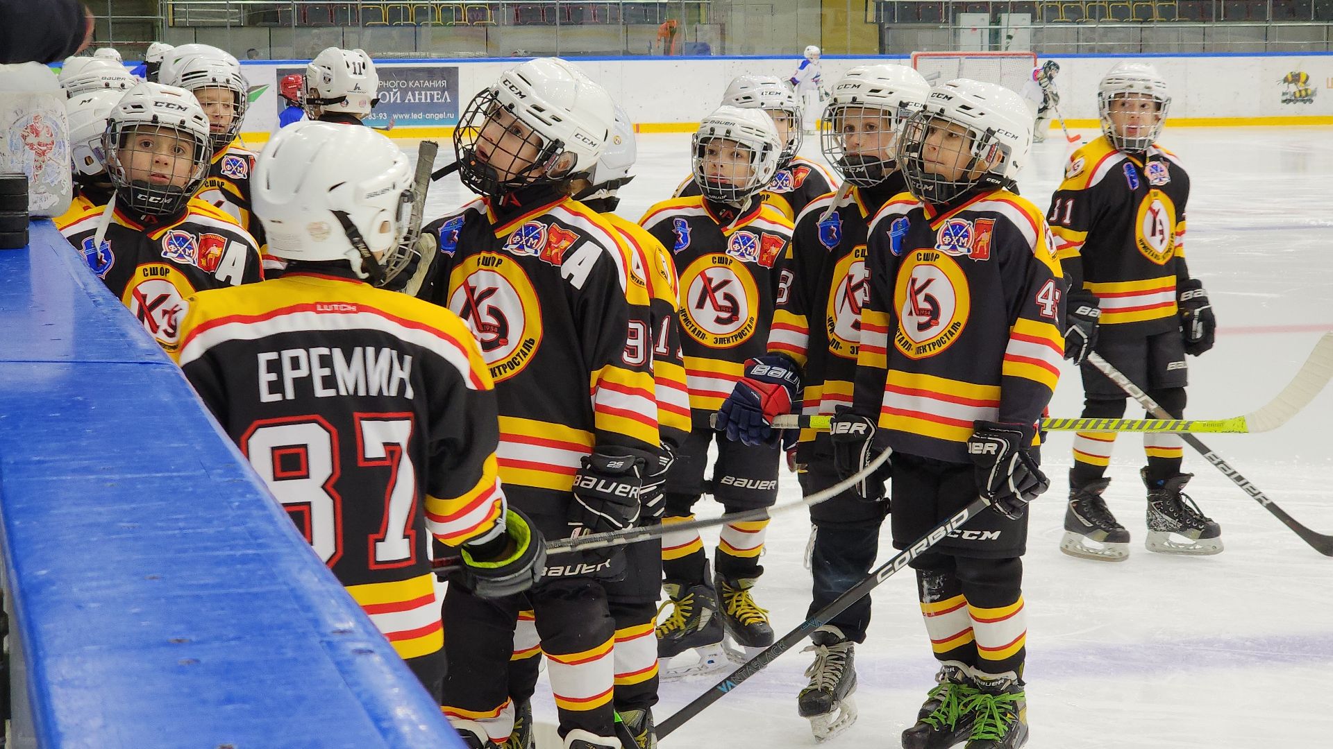 спорт, спорт подмосковья, первенство по хоккею, электросталь, электросталь спортивная, хоккей, хоккейная команда, хоккейный сезон, ледовая арена, ледовый дворец,