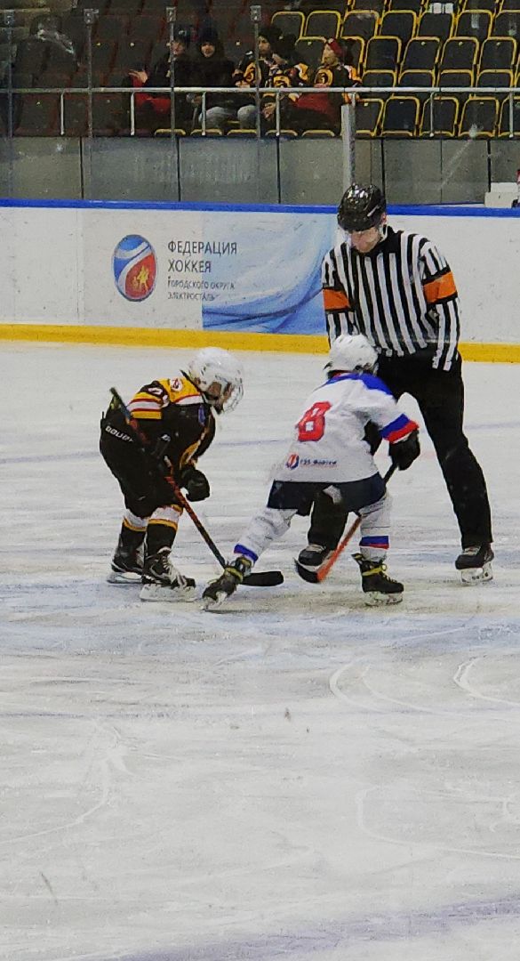спорт, спорт подмосковья, первенство по хоккею, электросталь, электросталь спортивная, хоккей, хоккейная команда, хоккейный сезон, ледовая арена, ледовый дворец,