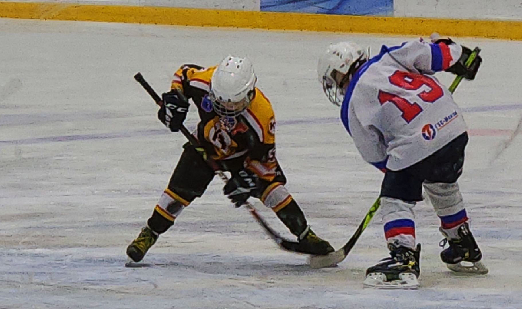 спорт, спорт подмосковья, первенство по хоккею, электросталь, электросталь спортивная, хоккей, хоккейная команда, хоккейный сезон, ледовая арена, ледовый дворец,