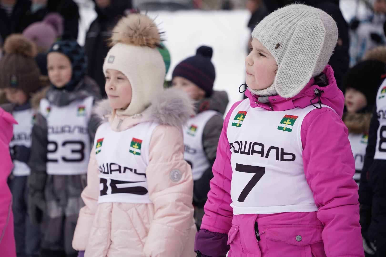 Рошальская лыжня, Спорт, Большая Шатура, Спортивная школа,