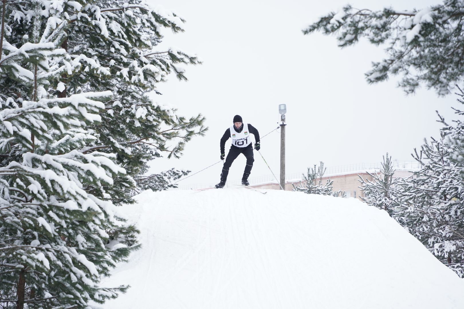 Рошальская лыжня, Спорт, Большая Шатура, Спортивная школа,