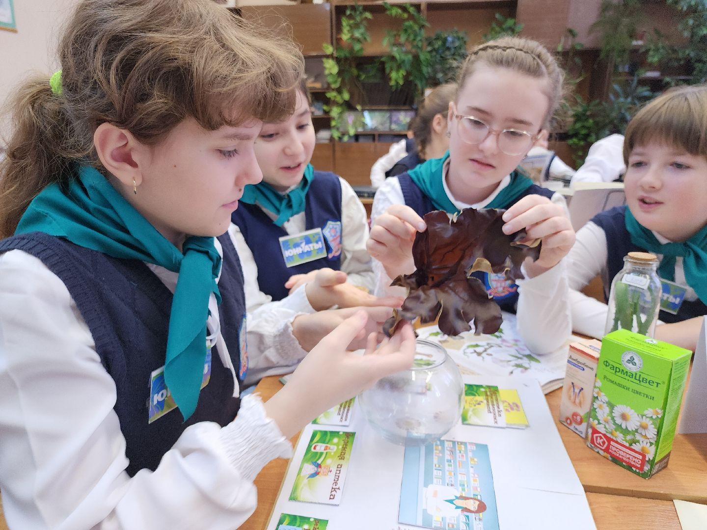 коломна, образование, гимназия 9, юннаты,