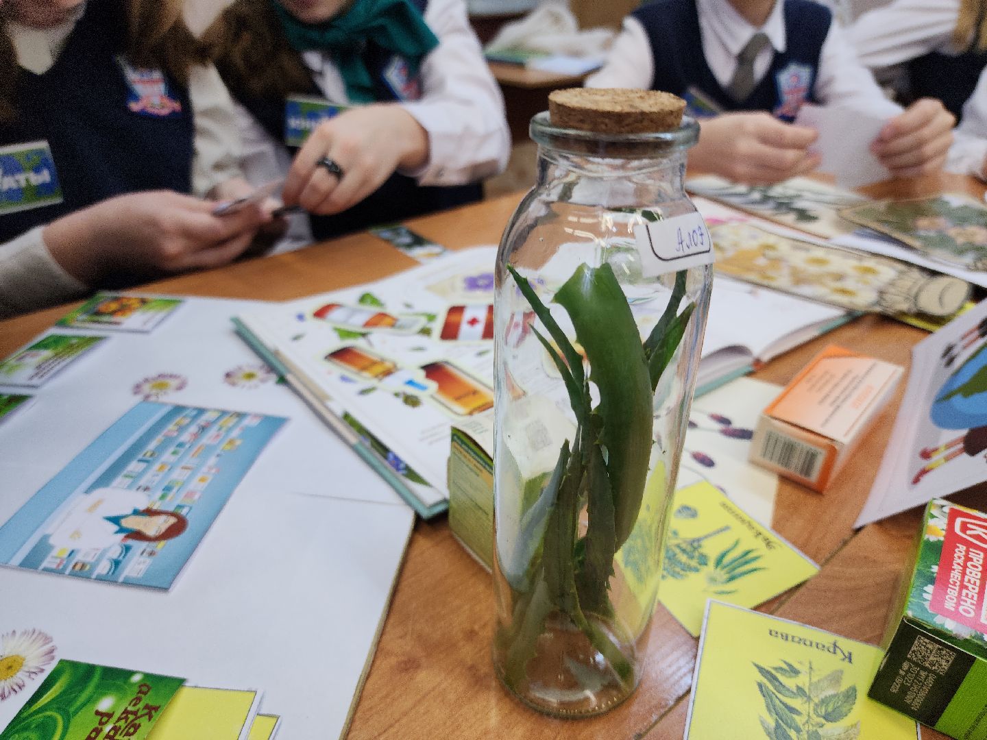 коломна, образование, гимназия 9, юннаты,