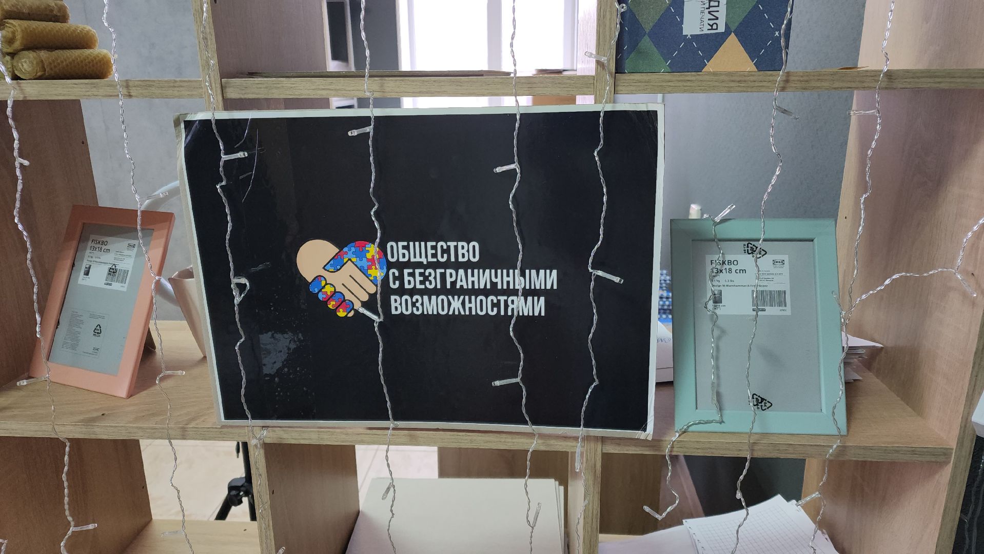 волоколамск, овз, инвалиды, дети, дети инвалиды, аутизм, проект, грант,