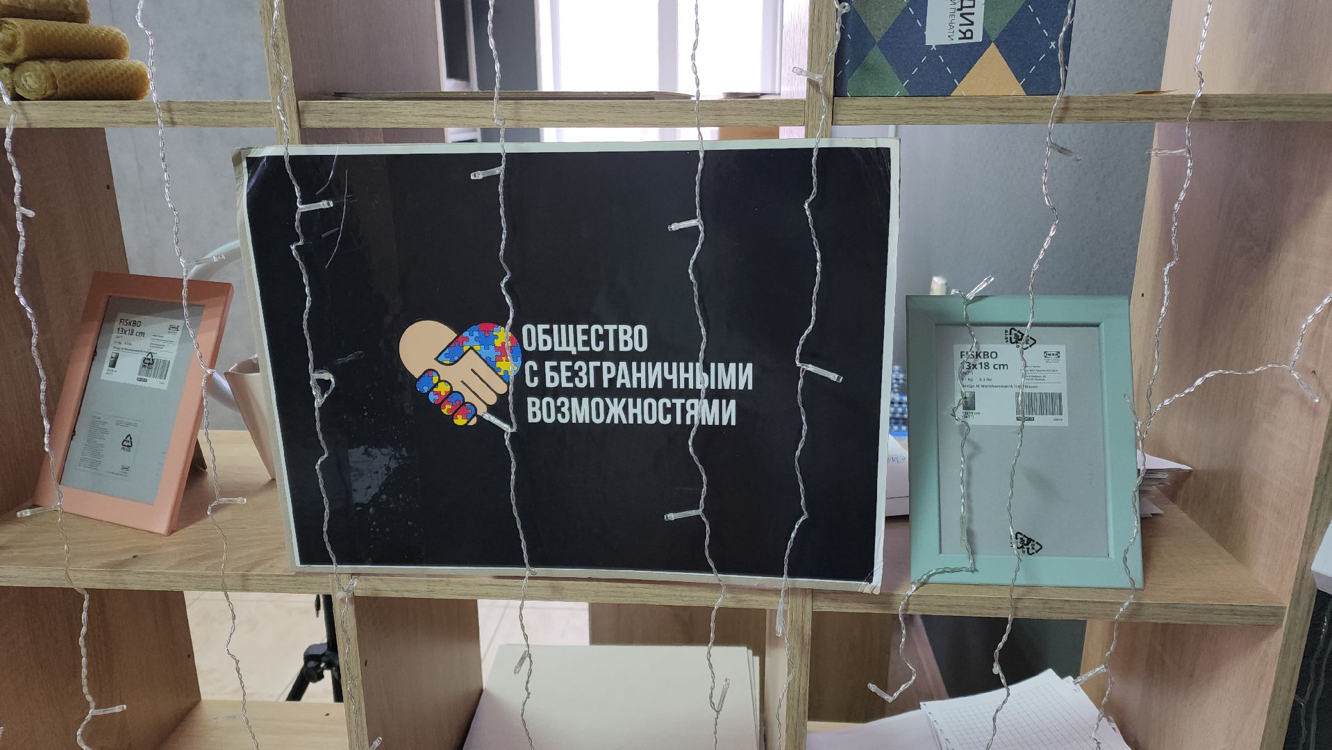 волоколамск, овз, инвалиды, дети, дети инвалиды, аутизм, проект, грант,