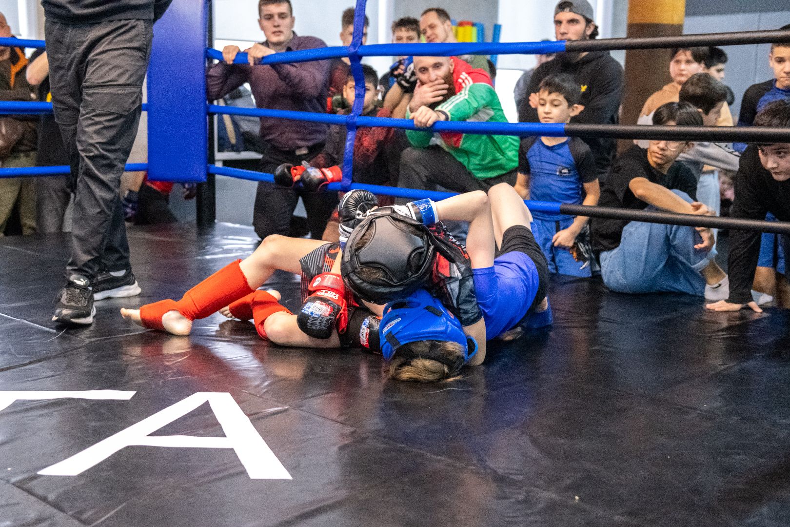 лыткарино, спорт, мма, бои, единоборства,