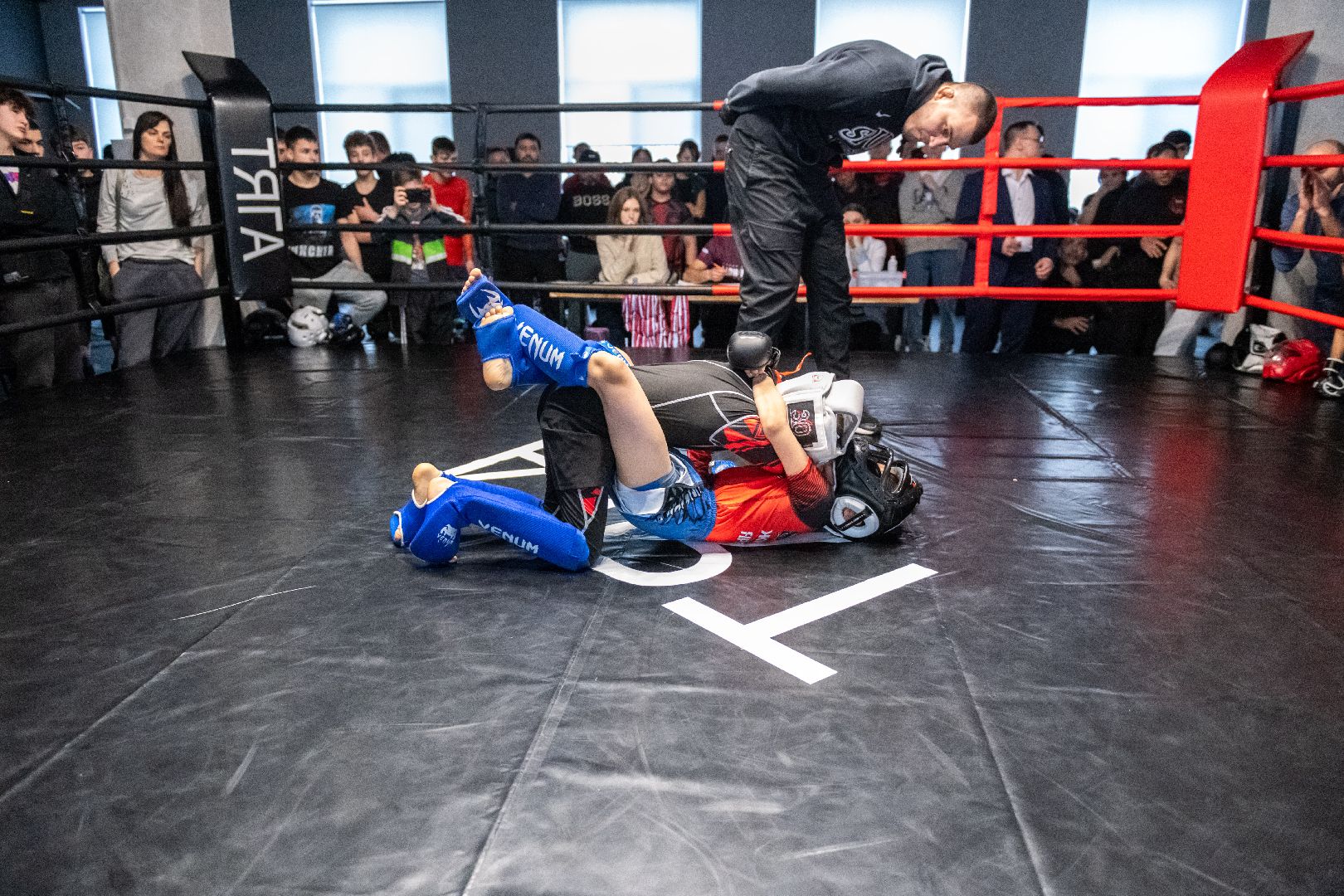 лыткарино, спорт, мма, бои, единоборства,