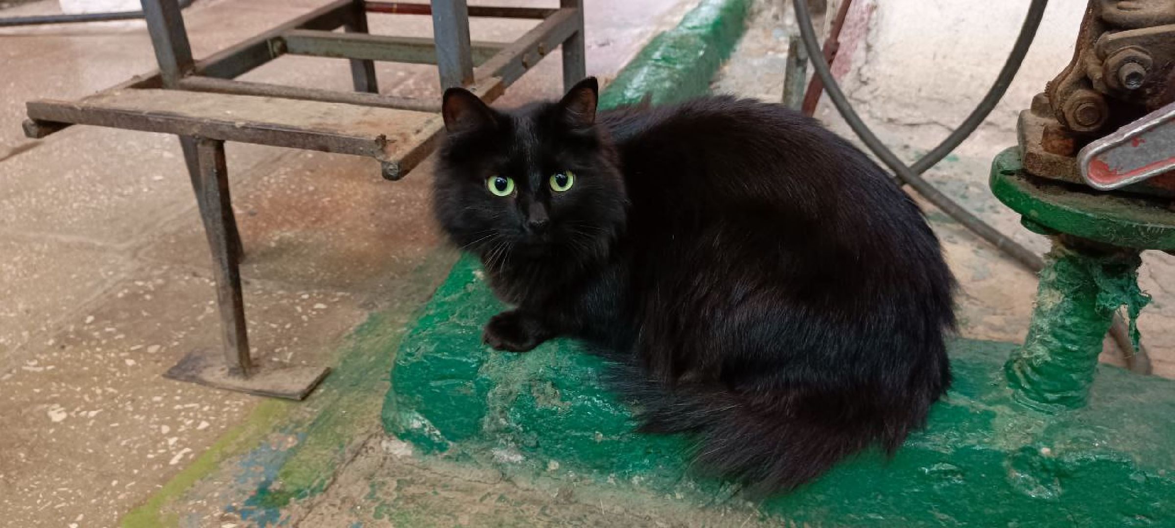 Дмитров, Яхрома, Котельная на улице Ленина,