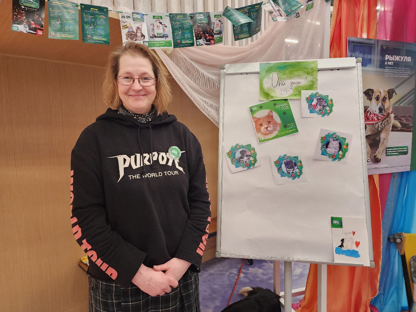 пушкино, бездомные животные, волонтерство, кошки, собаки,