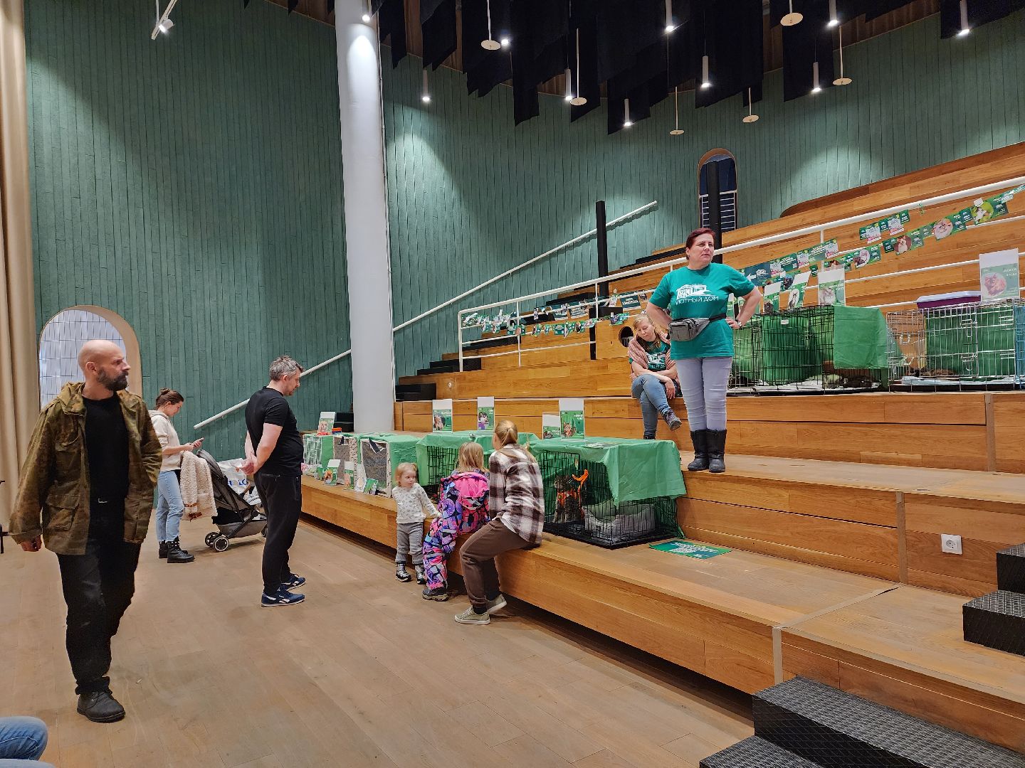 пушкино, бездомные животные, волонтерство, кошки, собаки,