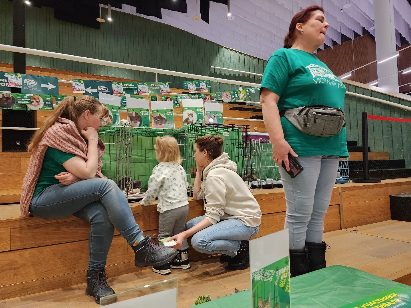 пушкино, бездомные животные, волонтерство, кошки, собаки,