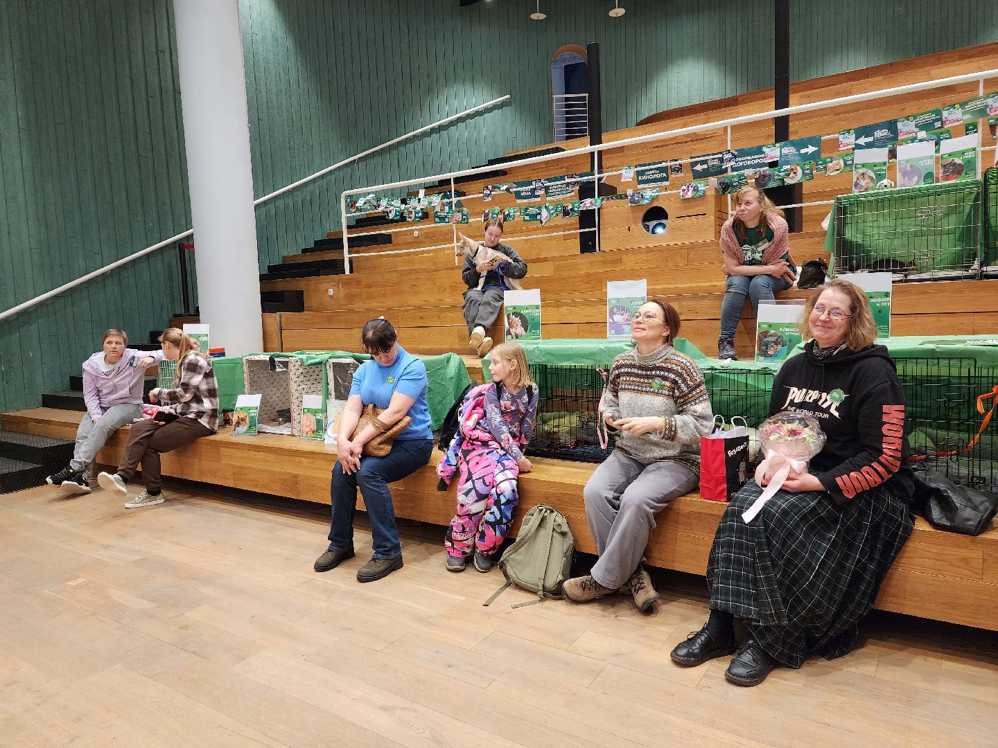 пушкино, бездомные животные, волонтерство, кошки, собаки,