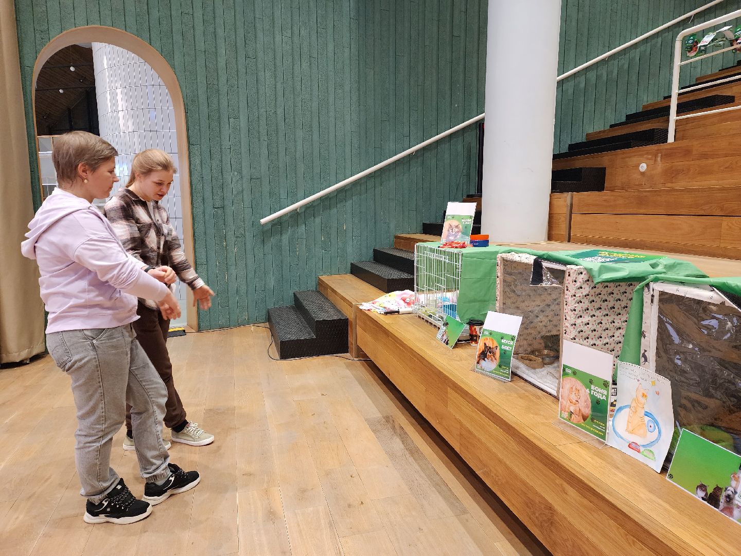 пушкино, бездомные животные, волонтерство, кошки, собаки,