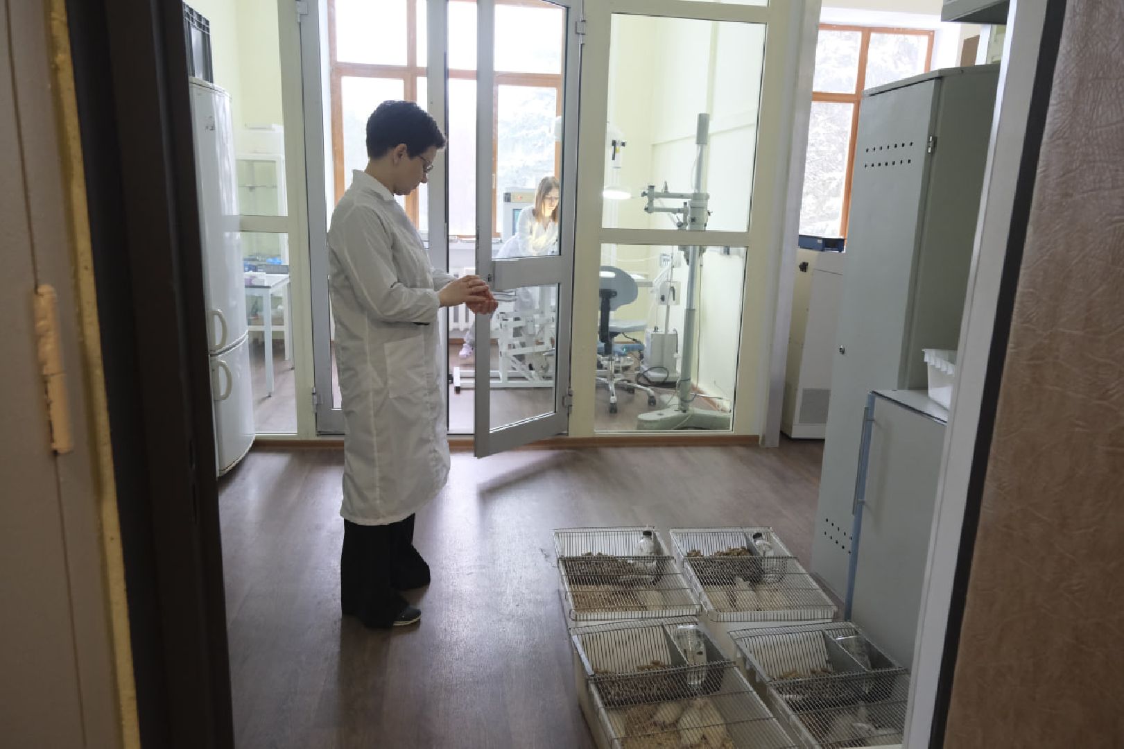 пущино, наука,