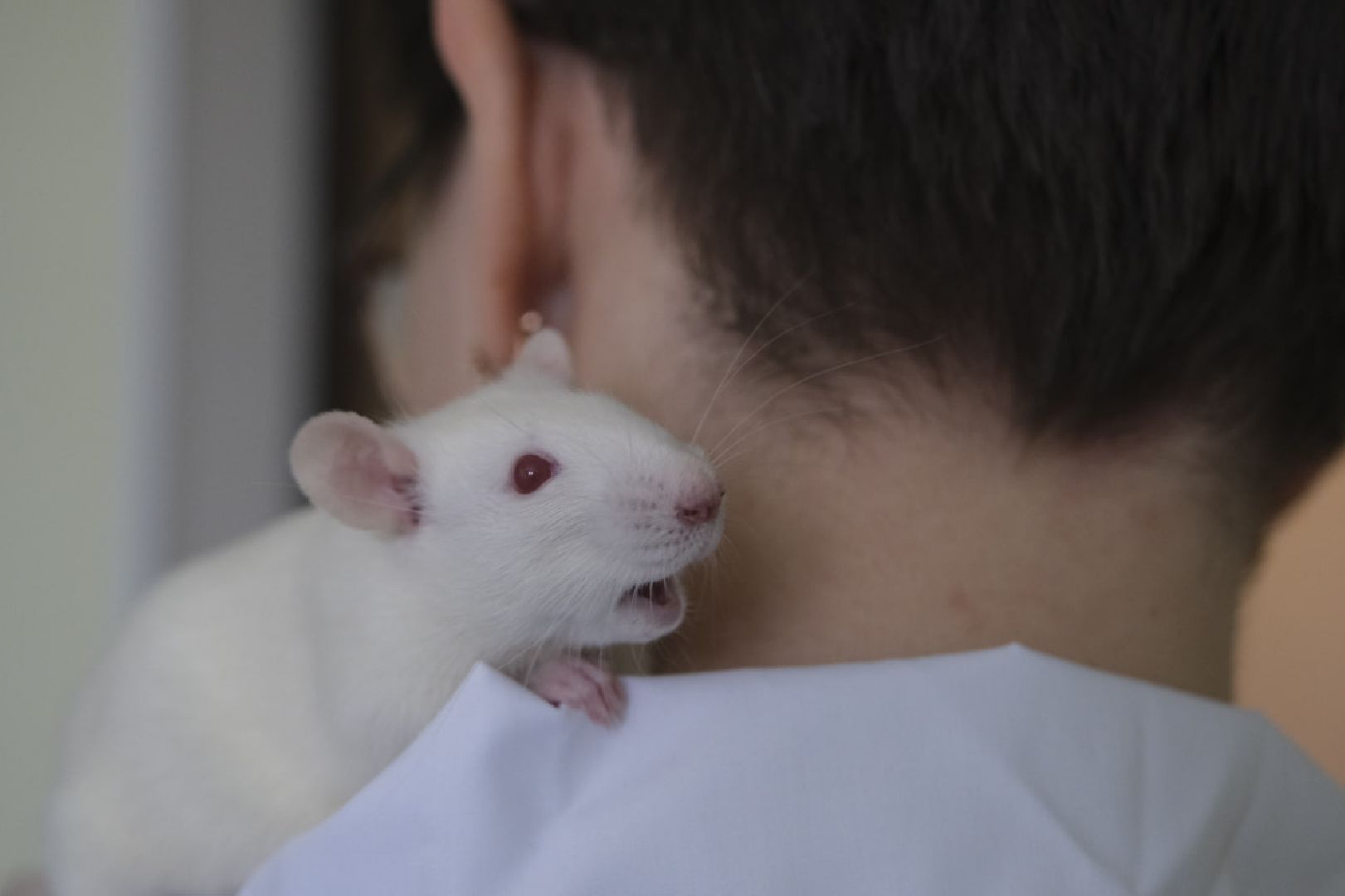 пущино, наука,