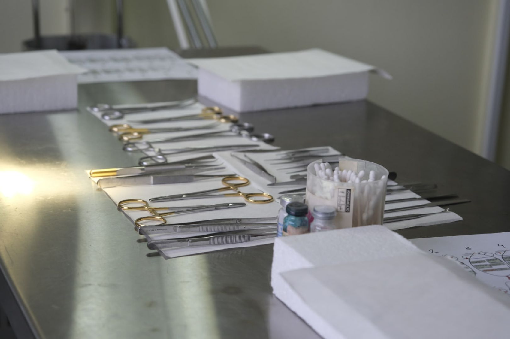 пущино, наука,