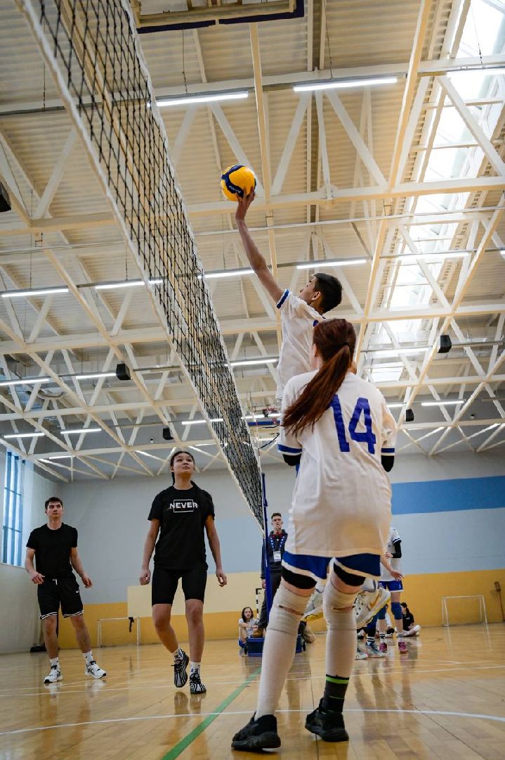 МГЕР, волонтеры культуры, волонтеры подмосковья, Домодедово, турнир, соревнования, волейбол, подмосковье, РГГУ, РосНОУ, колледж Московия, ЗОЖ,