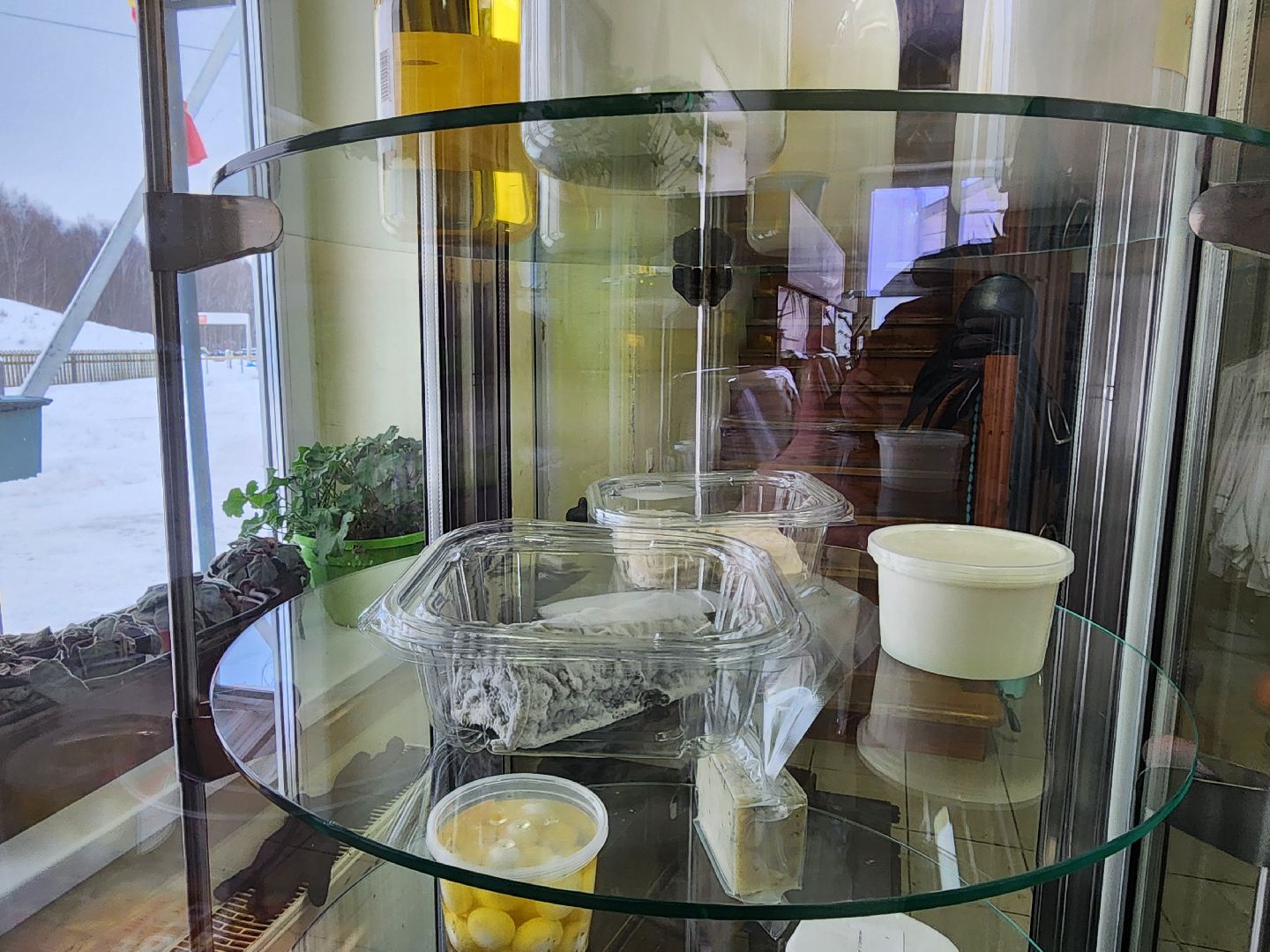 Чехов, Подмосковье, Дикие белки, агротуризм, молоко, козы, коровы,