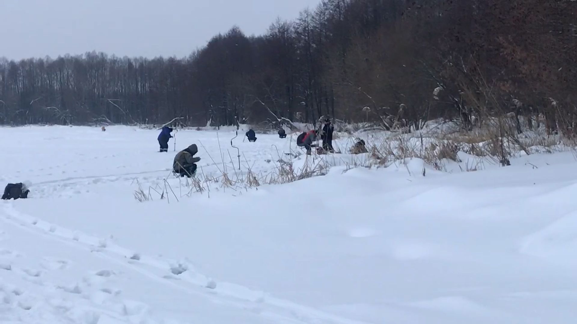 подледный лов, зимняя рыбалка, Шатурская ГРЭС, Святое,