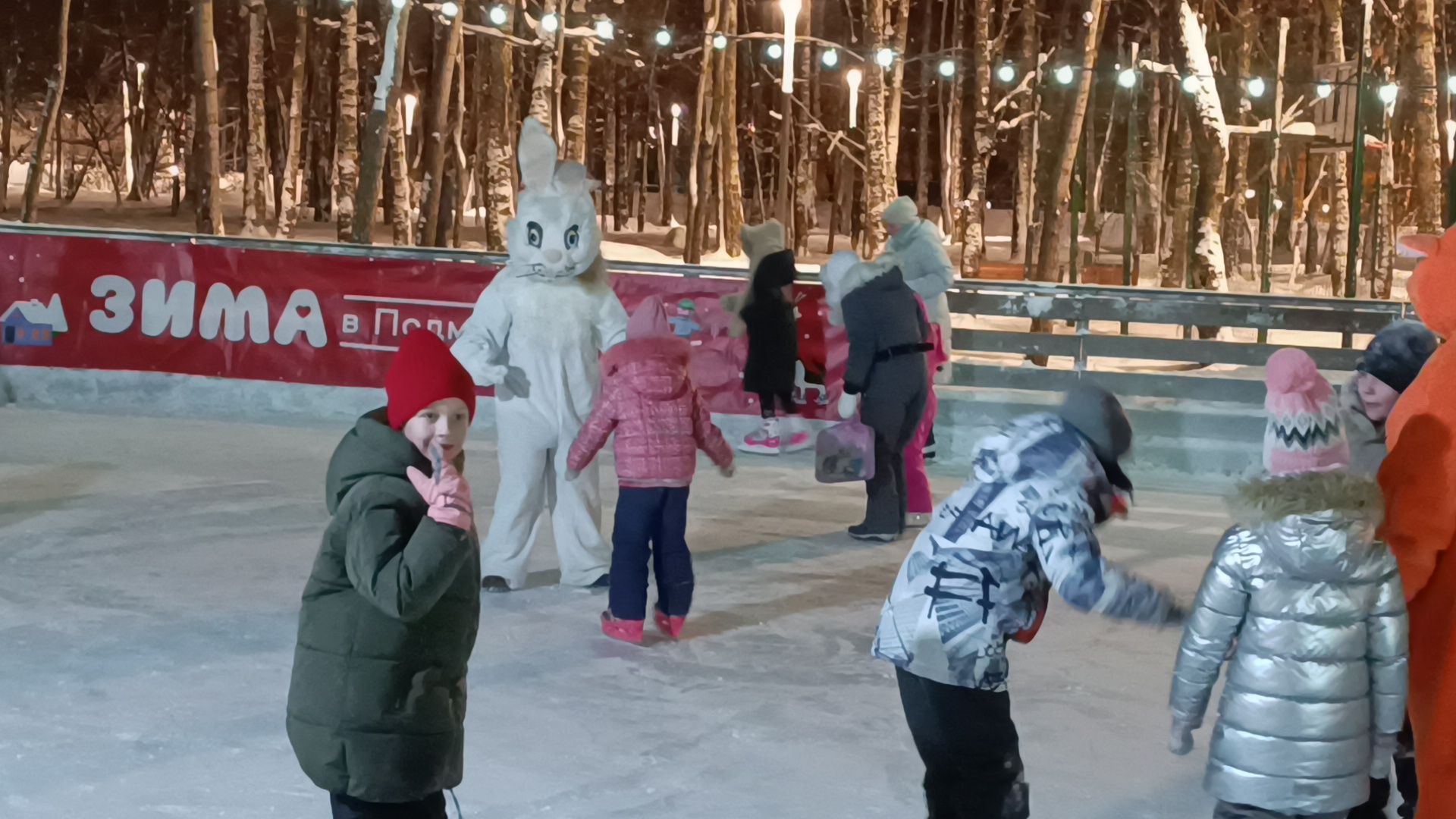 каток, лобня, парк, зима,