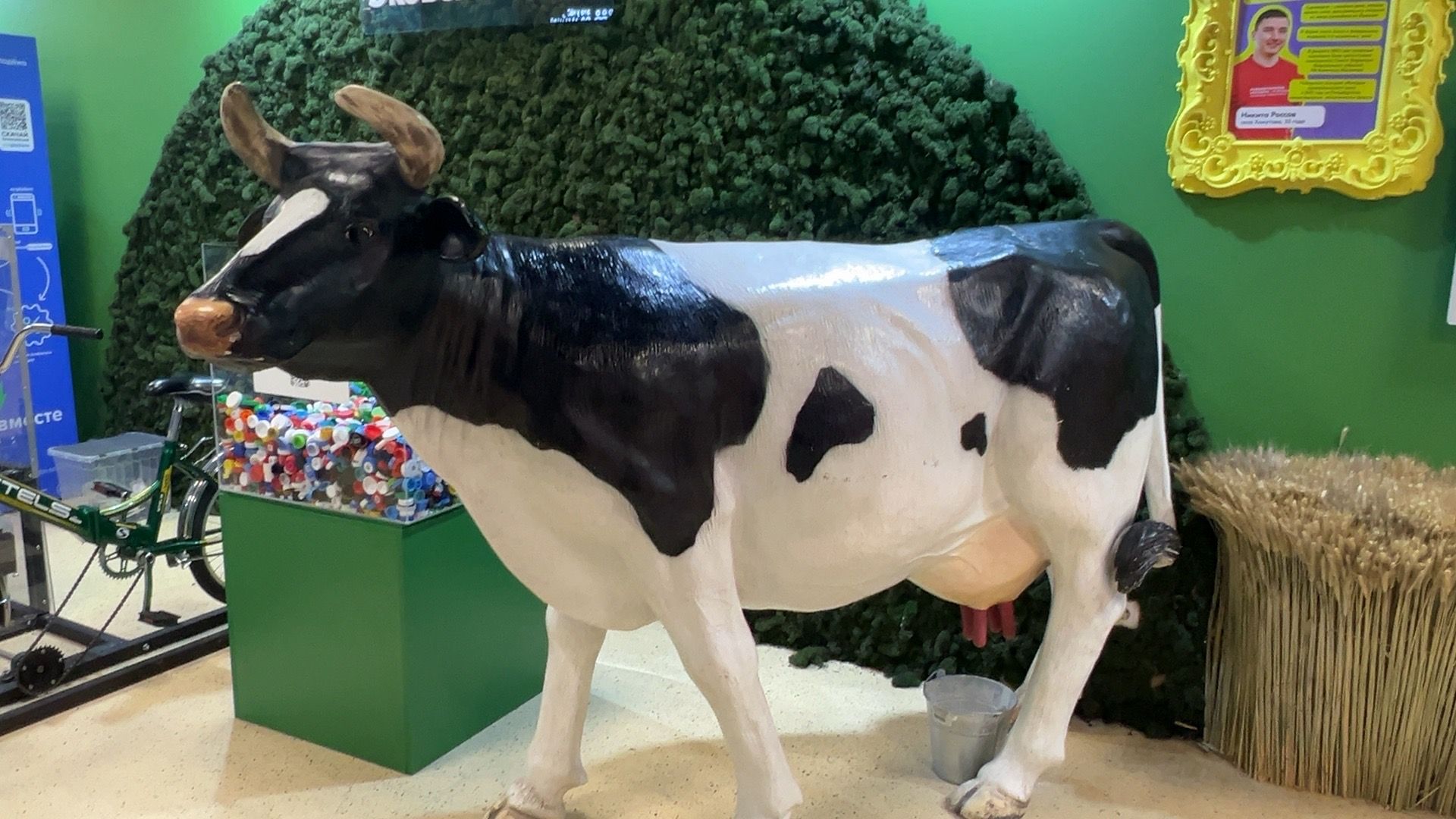 Солнечногорск, движение первых, съезд, Школьники, Вднх,