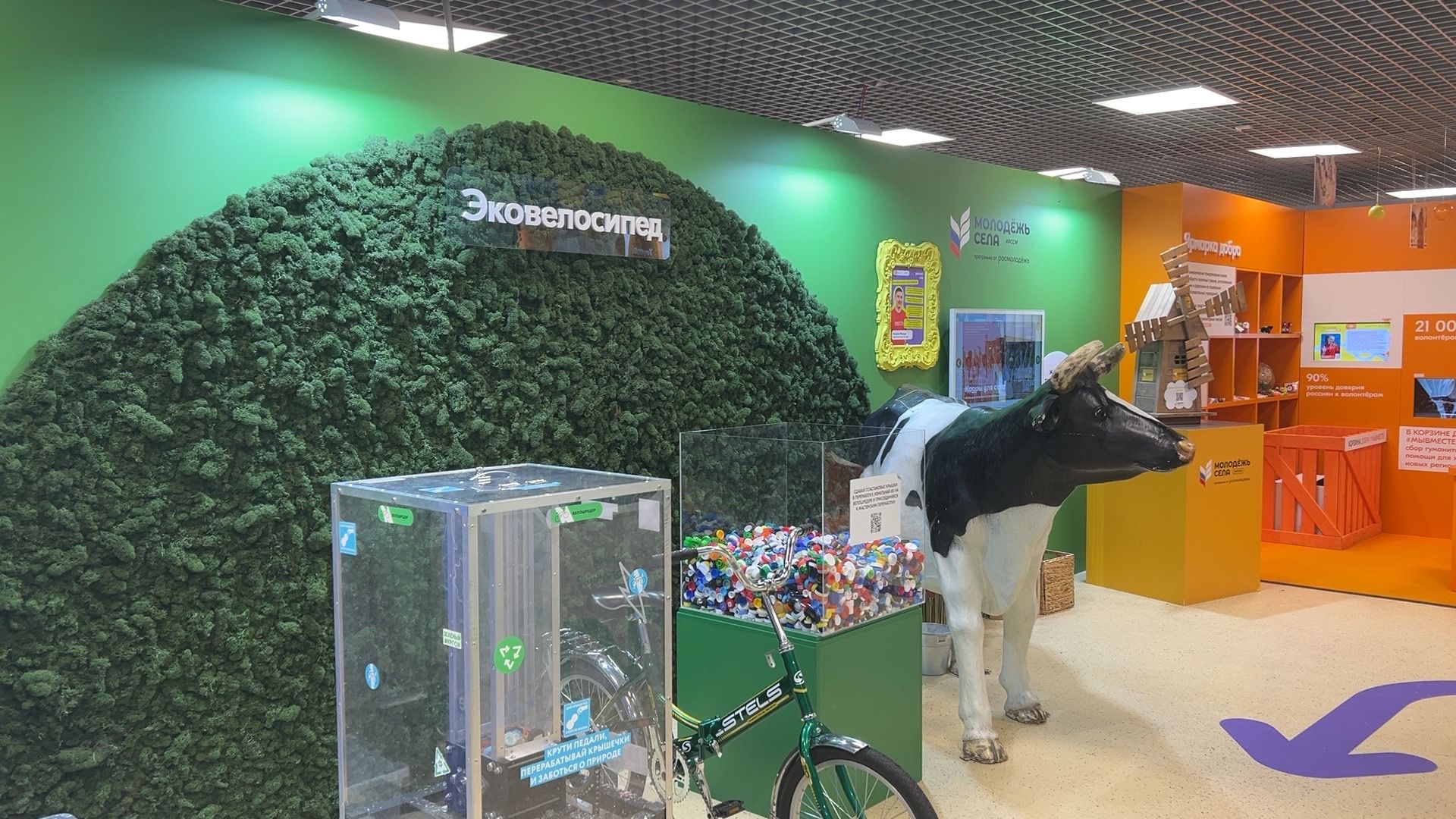 Солнечногорск, движение первых, съезд, Школьники, Вднх,