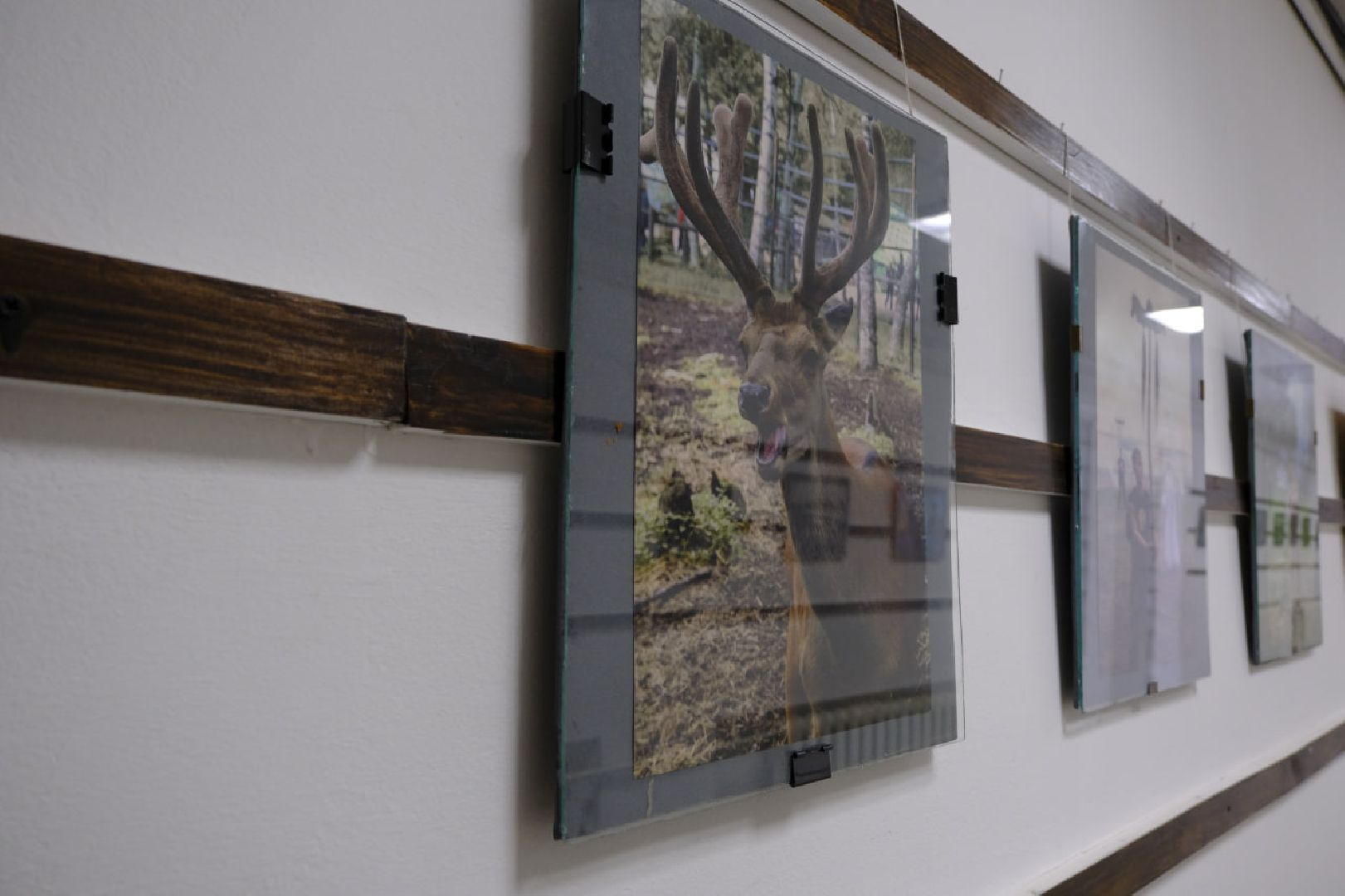 пущино, фотографии, искусство,