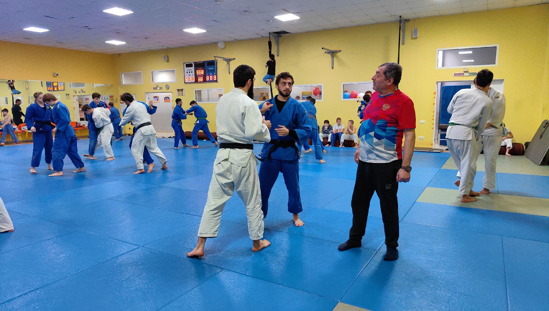 дзюдо, турнир, соревнования, Гран-при, олимпиада 2024,