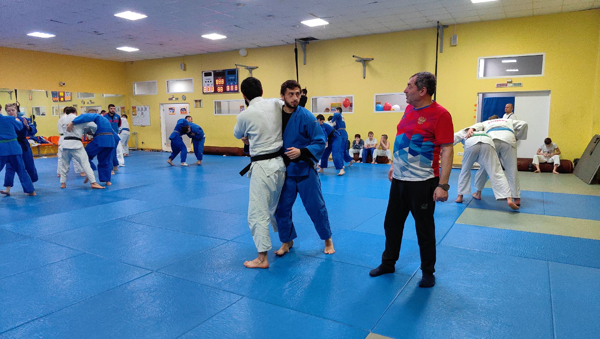 дзюдо, турнир, соревнования, Гран-при, олимпиада 2024,