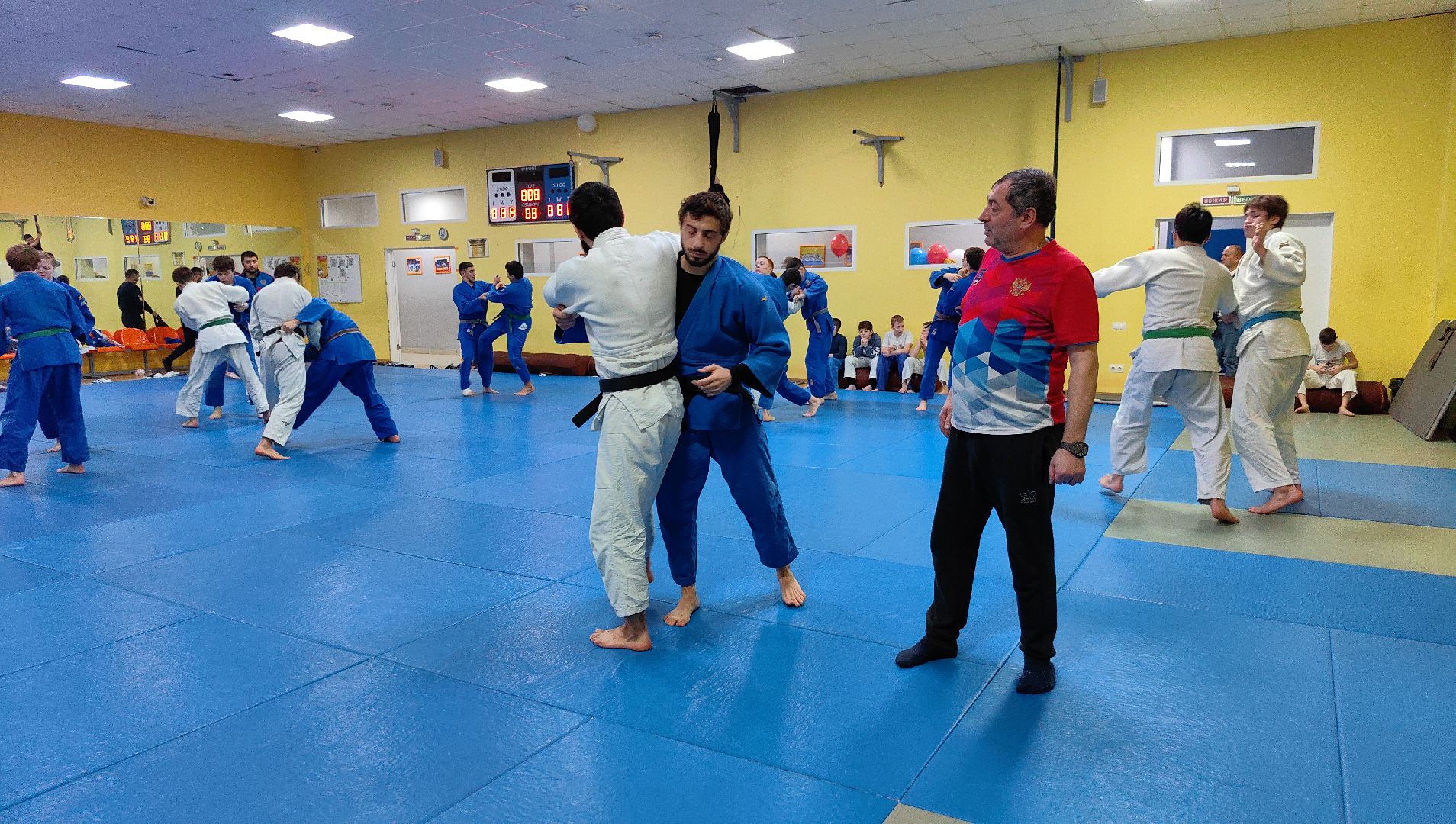 дзюдо, турнир, соревнования, Гран-при, олимпиада 2024,