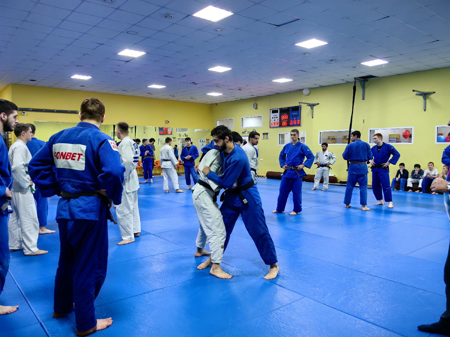 дзюдо, турнир, соревнования, Гран-при, олимпиада 2024,