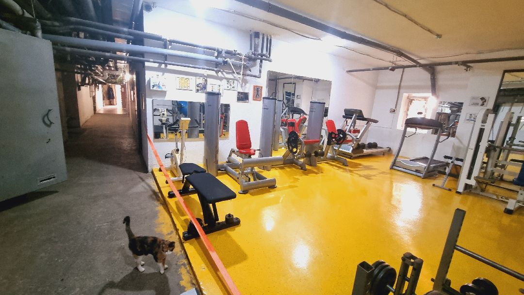 Подмосковье, Ивантеевка, благоустройство