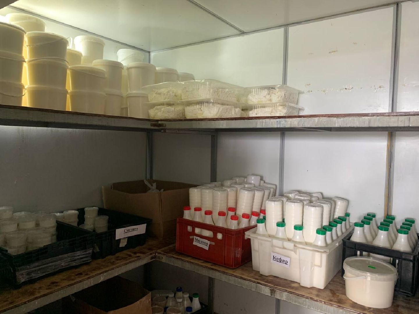 Звенигород, эко отель, Эко-туризм,