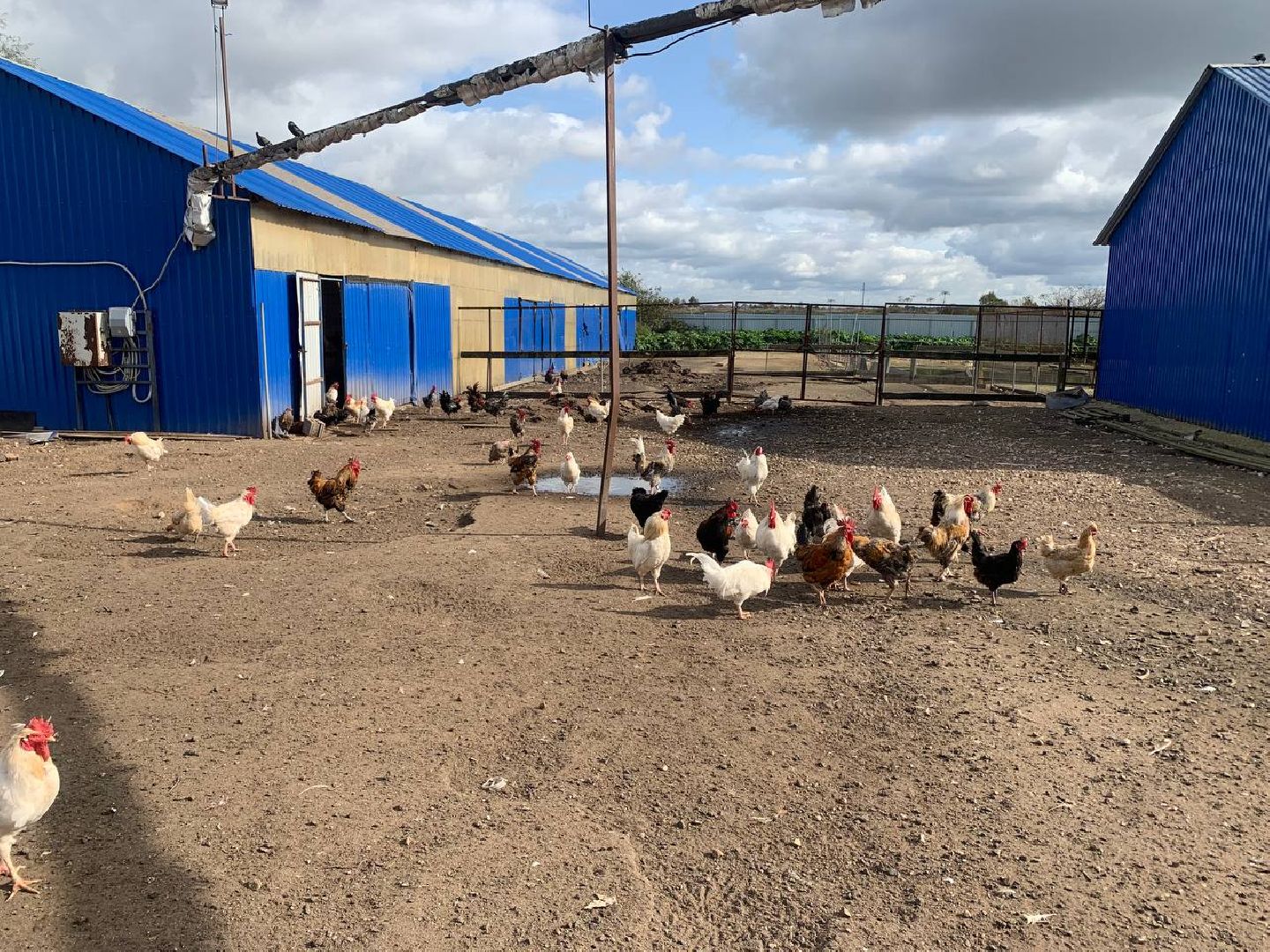 Звенигород, эко отель, Эко-туризм,